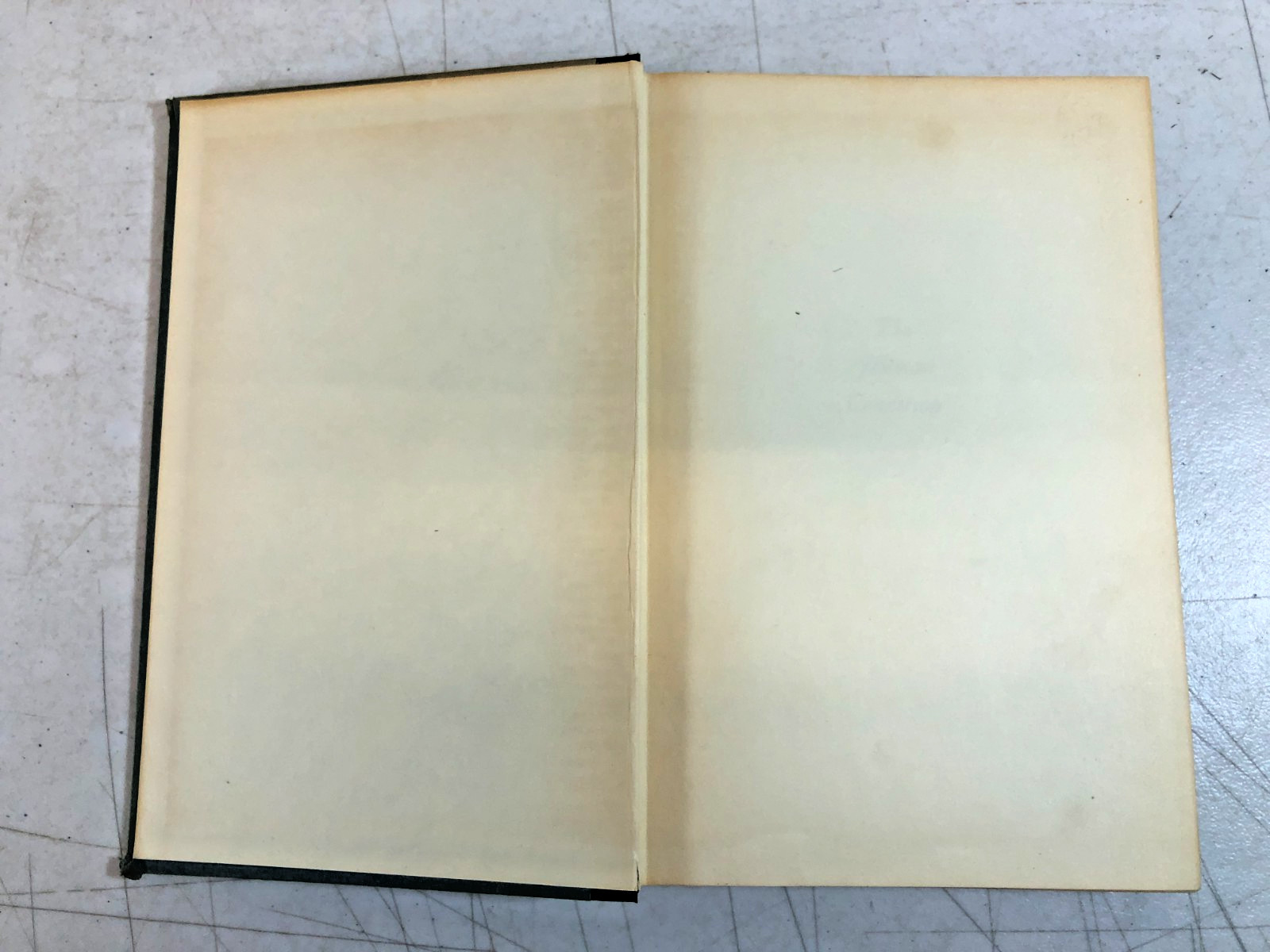 The Human Condition, Hannah Arendt 1958, E-104