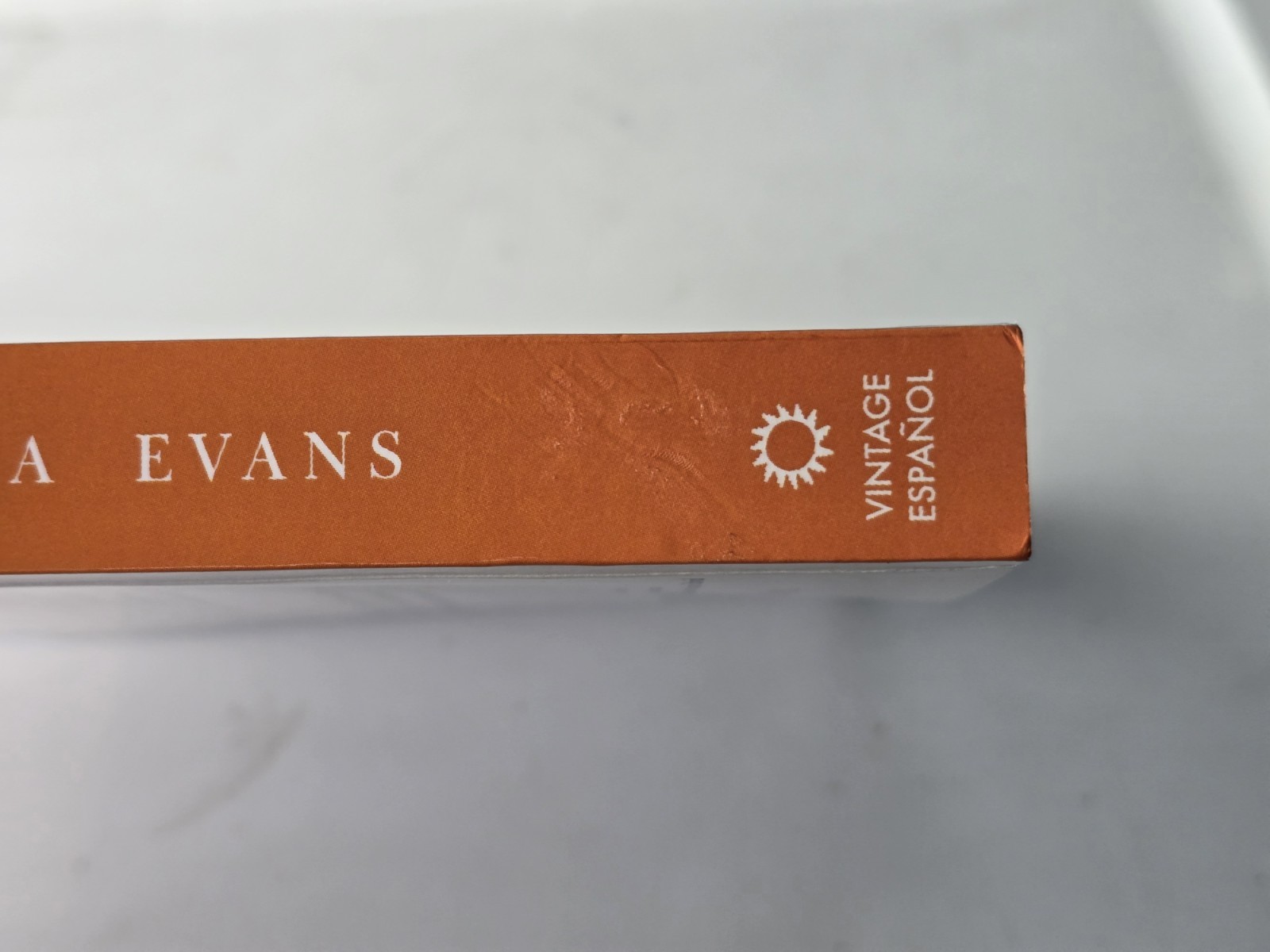 La Corresponsal by Virginia Evans 2025, Trade Paperback Spanish First Edition