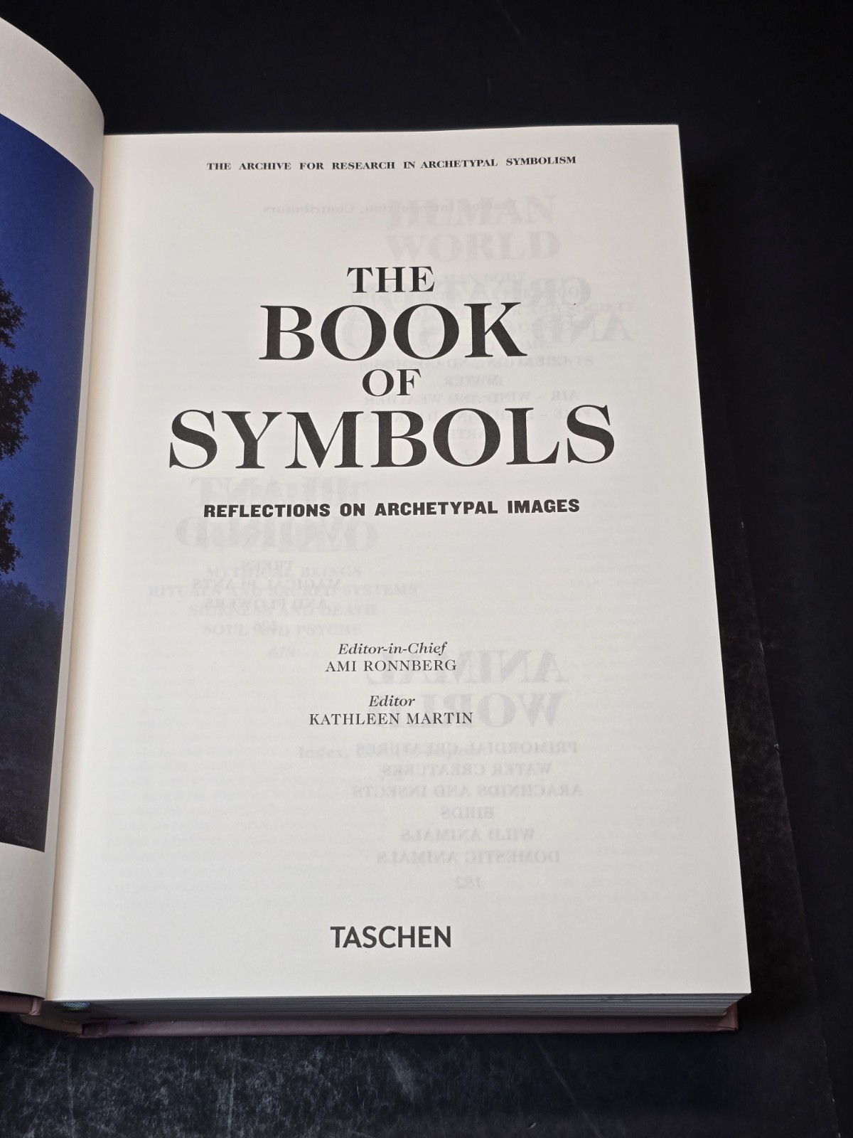 The Book of Symbols: Reflections on Archetypal Images Taschen Hardcover