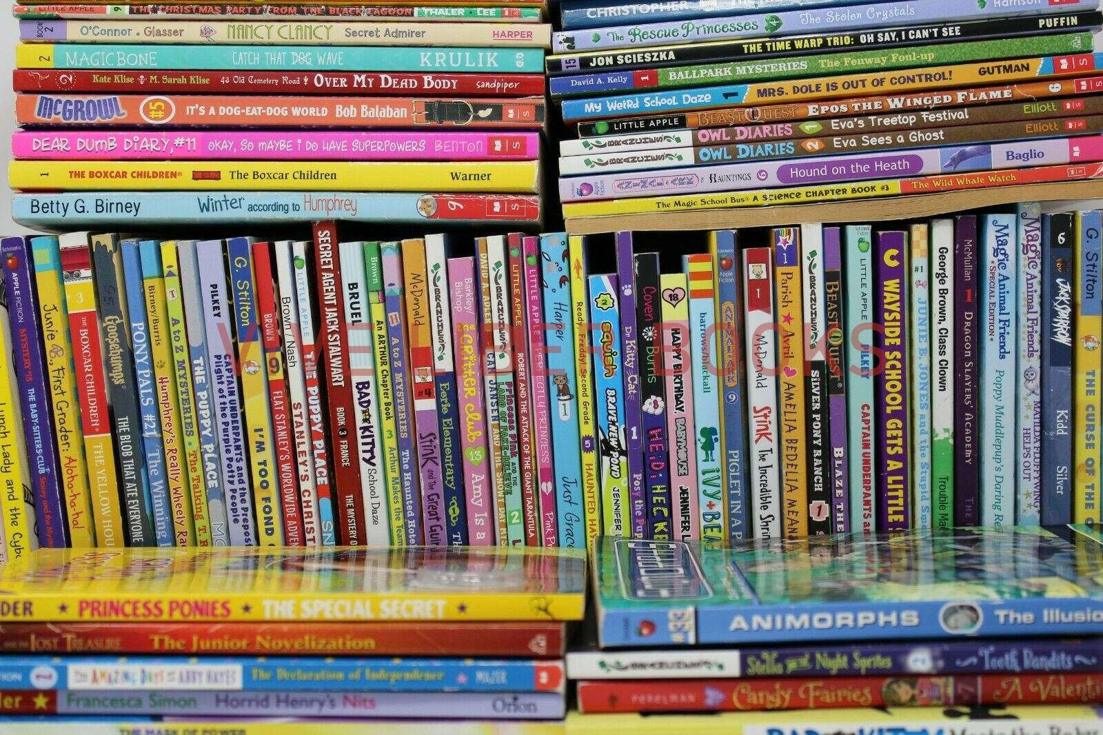 Bulk/Huge Lot of 100 of Children’s Kids Chapter Books – Random – Free Shipping!