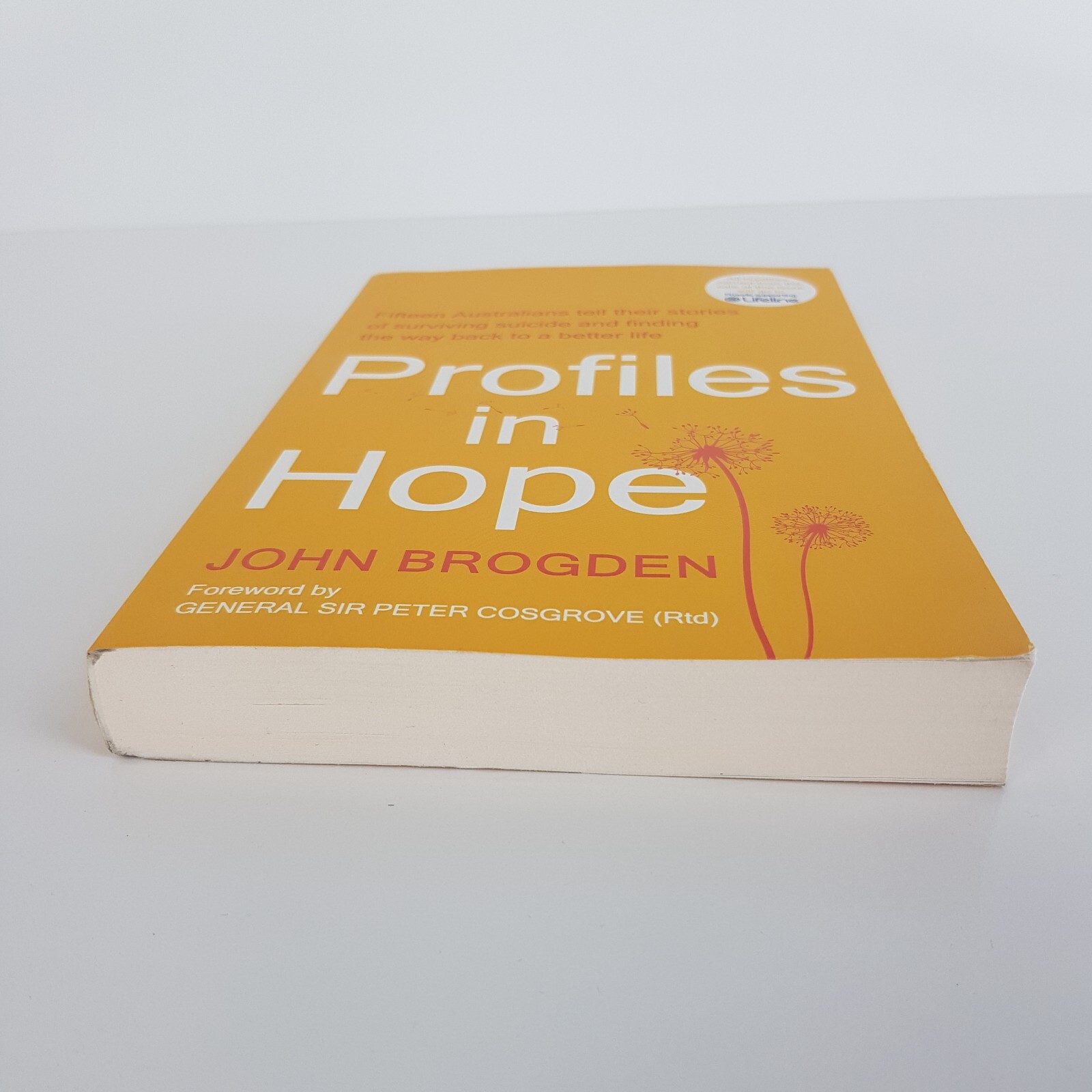 Profiles in Hope By John Brogden (Med PB 2024) Fifteen Stories Surviving Suicide