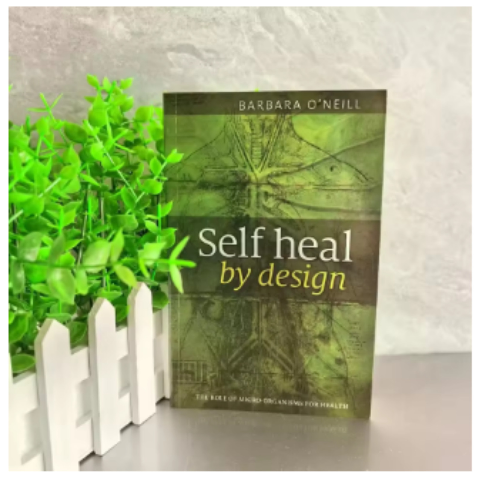 Self Heal By Design Book By Barbara O’Neill Worldwide International Shipping