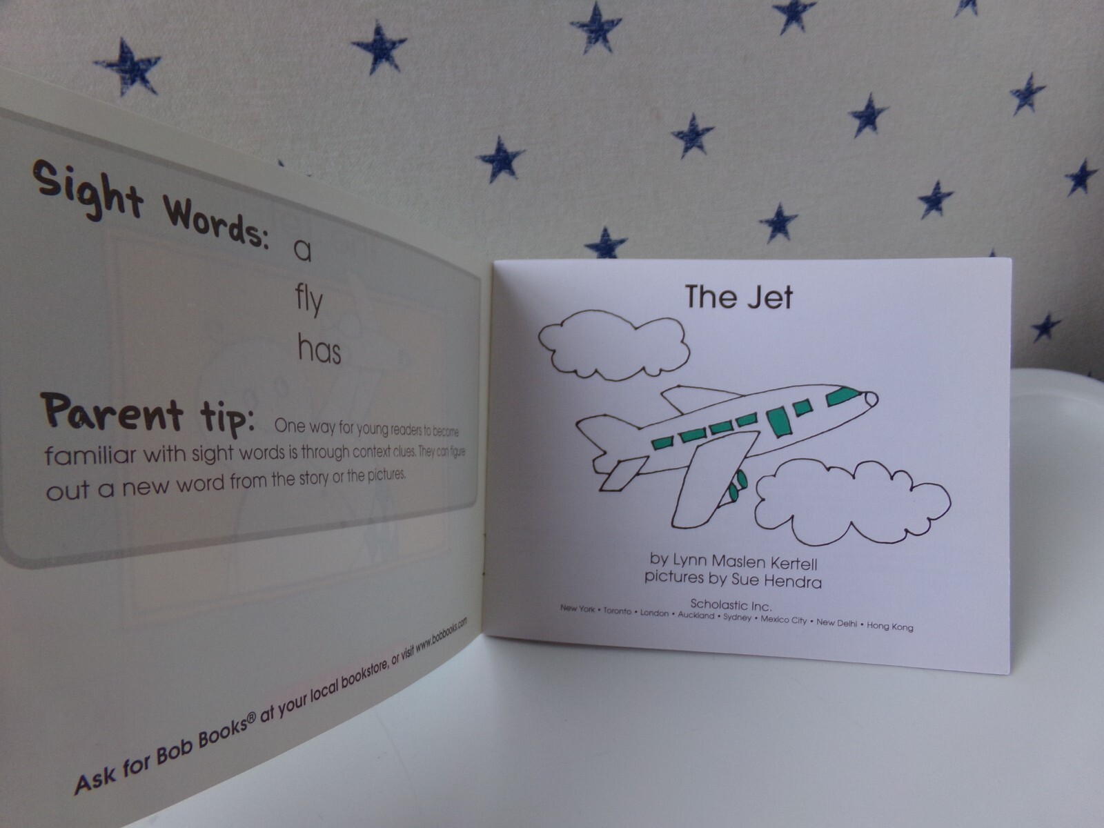 Bob Books The Jet KINDERGARTEN Book 3 By Bobby Lynn Maslen Replacement Book