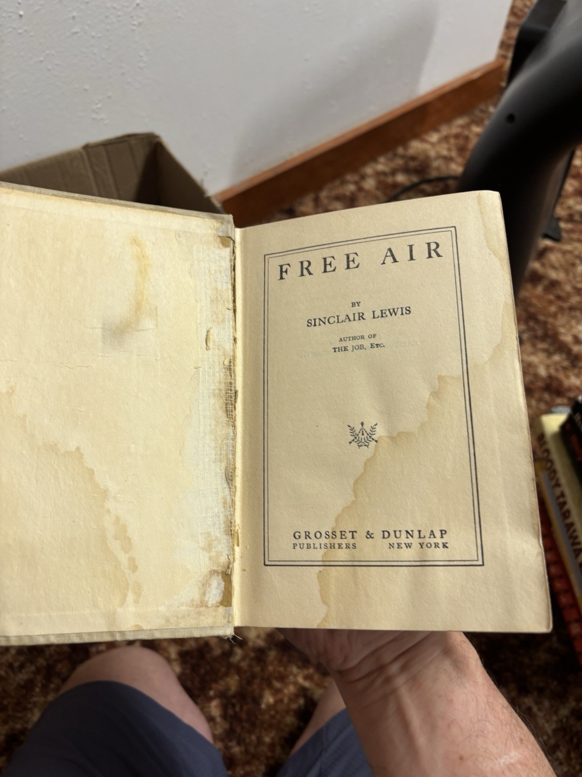 Free Air by Sinclair Lewis 1919 First Edition