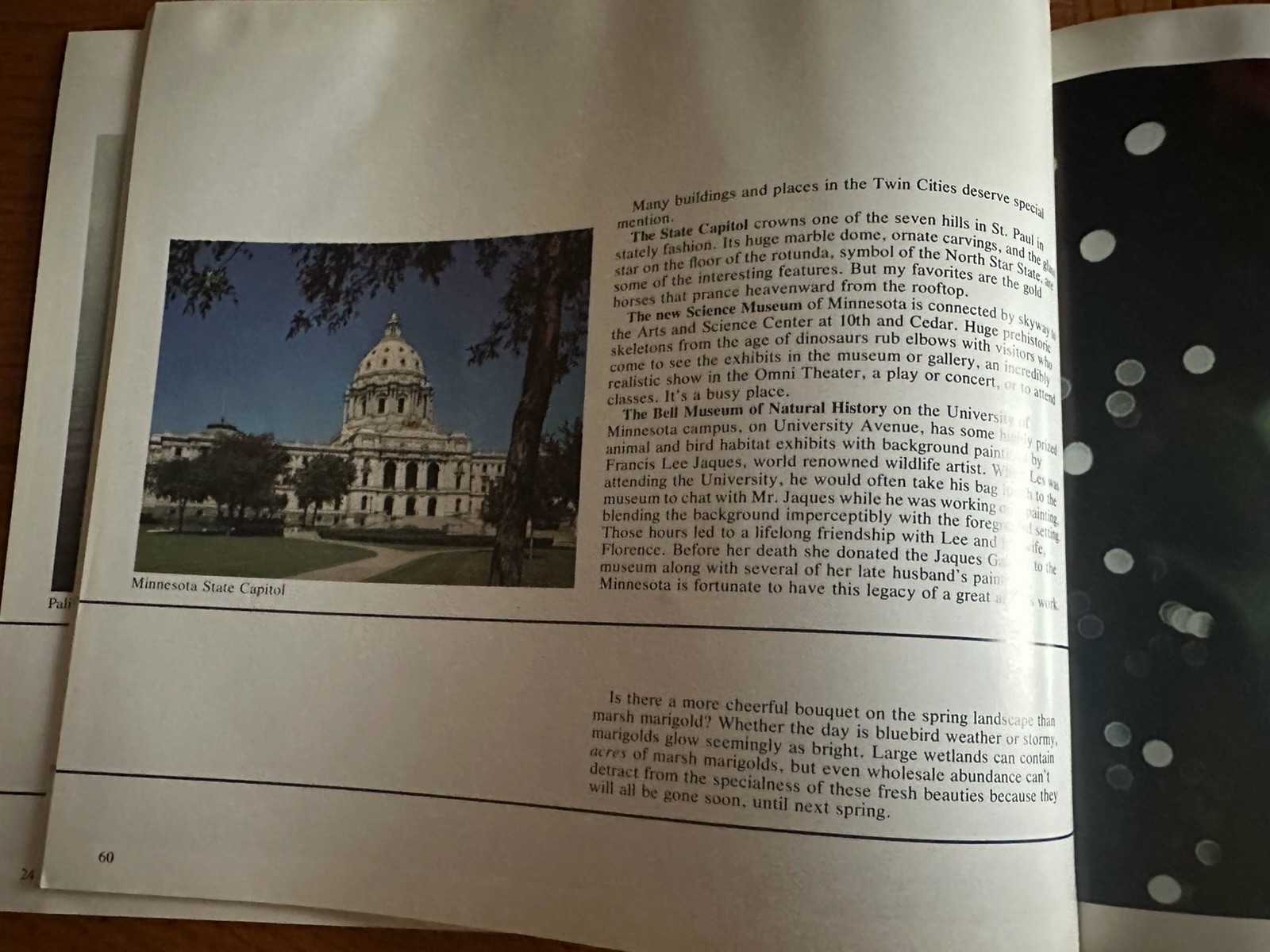 Vintage 1981 Our Minnesota Photography Expanded Edition Paperback Picture Book