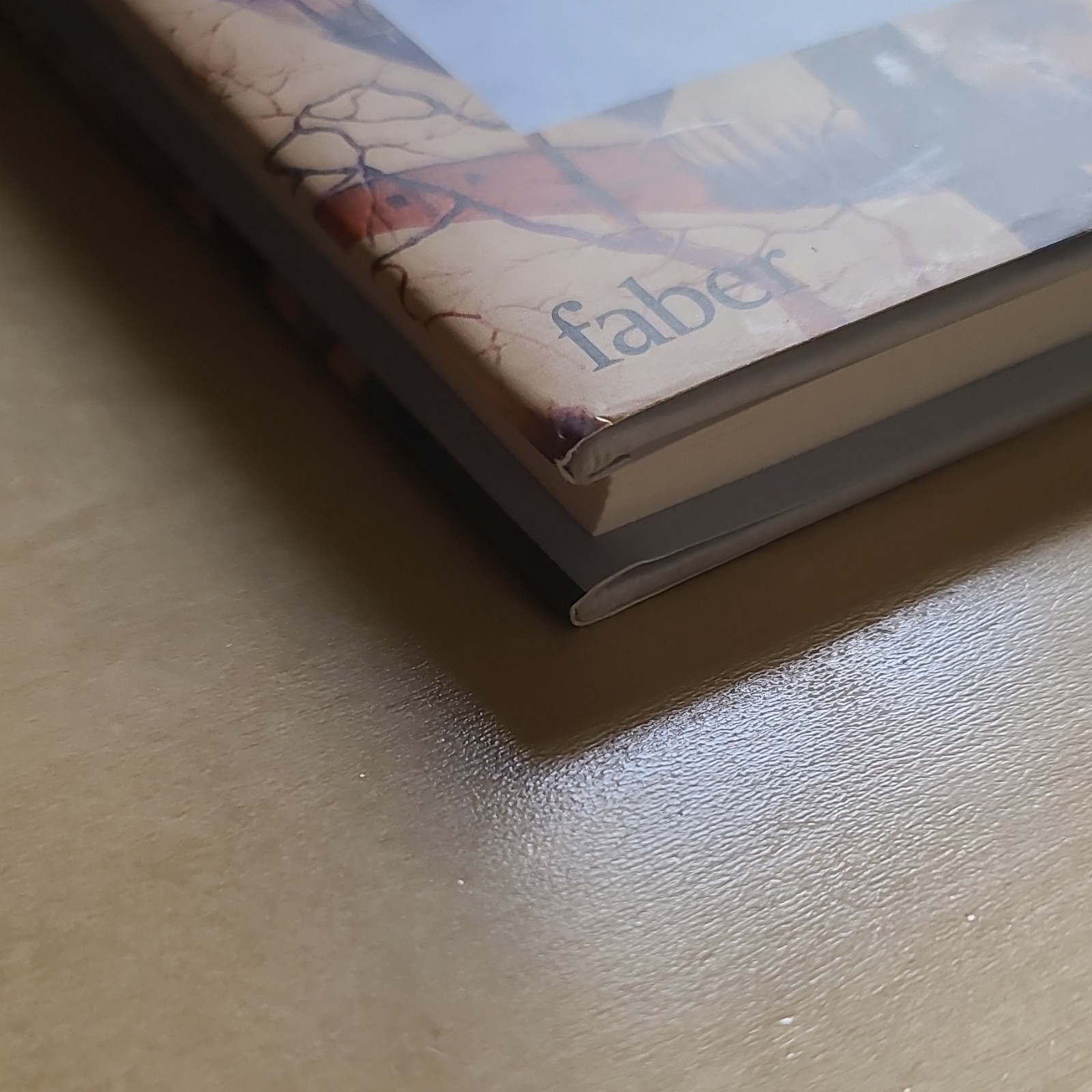 Irish Literature Bundle: Small Things Like These & Amongst Women
