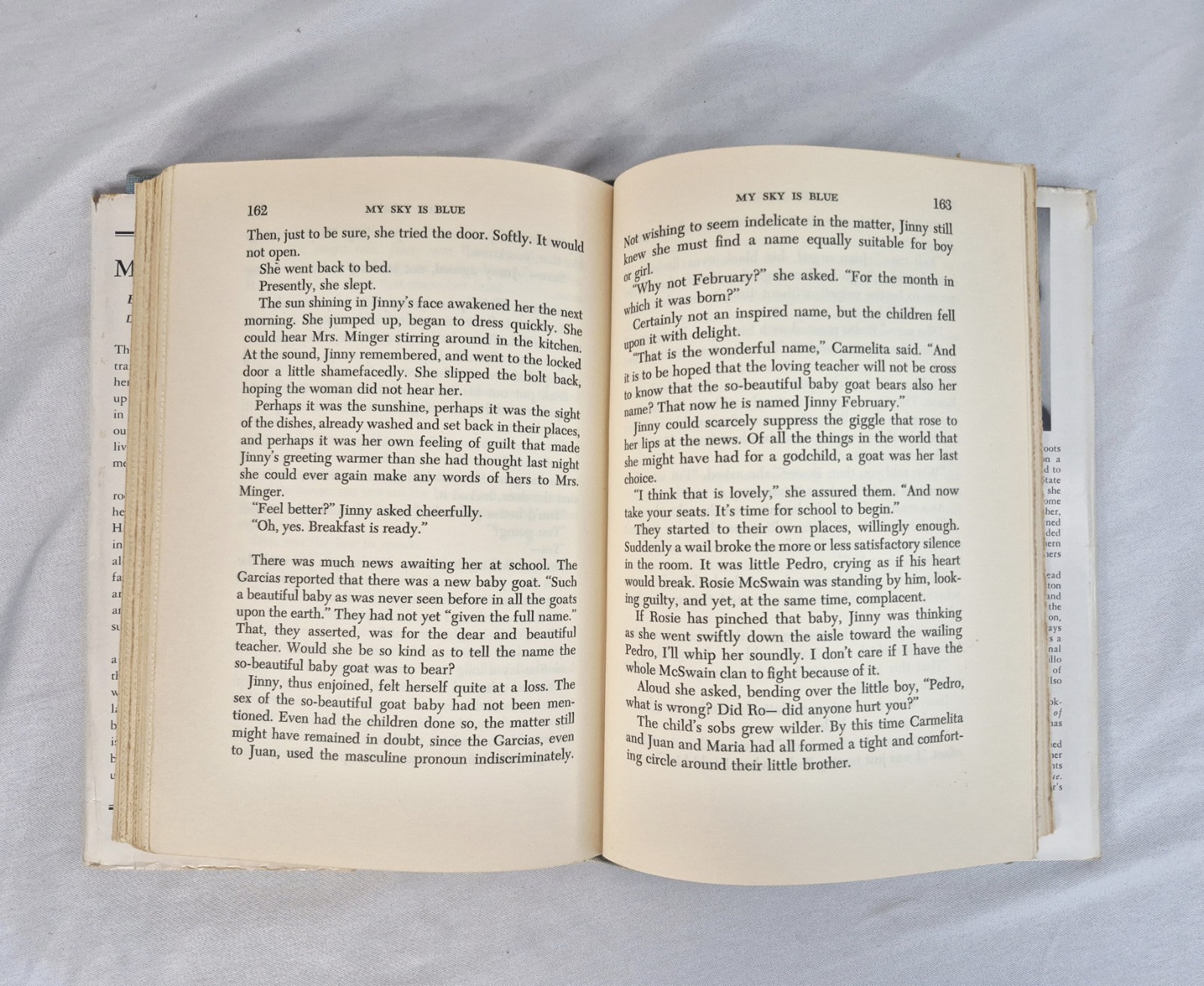 My Sky Is Blue By Loula Erdman 1st Edition 1953 HC DJ
