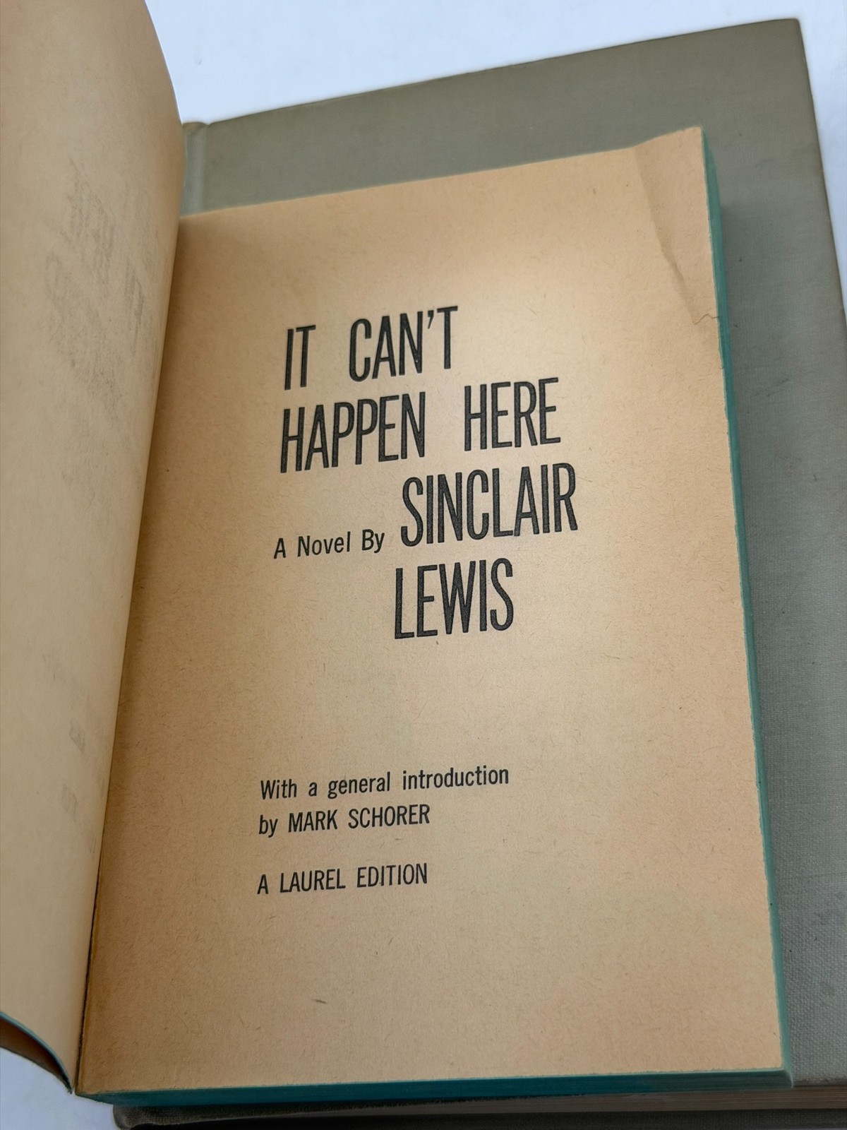 Sinclair Lewis Vintage Book Lot Elmer Gantry It Can’t Happen Here Cass Timberlan