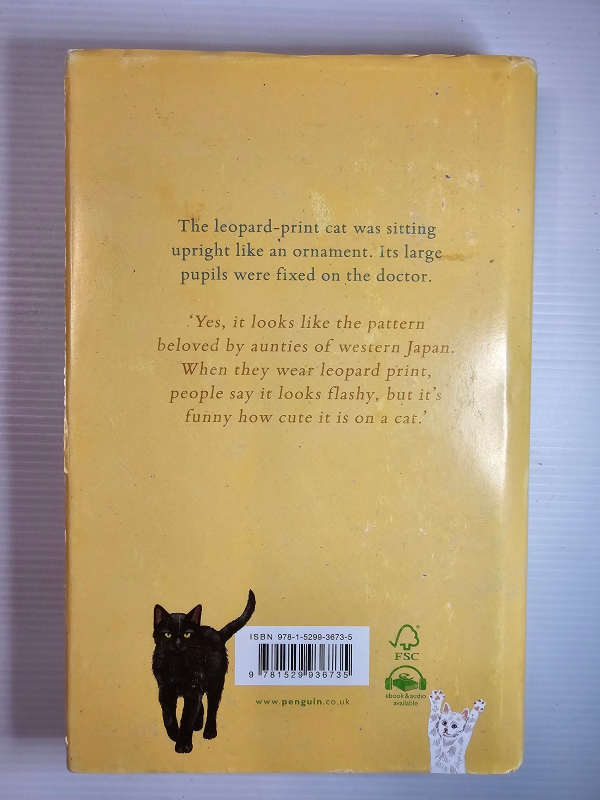 We’ll Prescribe You Another Cat by Syou Ishida – Hardcover