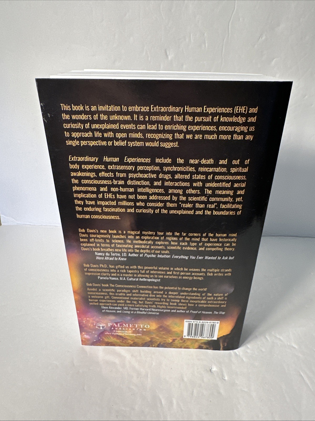 The Consciousness Connection by Bob Davis (Paperback, 2024, UNMARKED!)