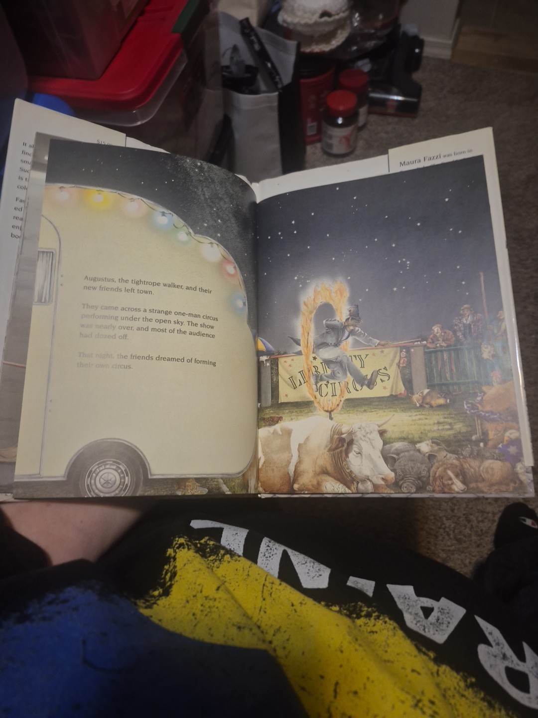 Circus of Mystery by Maura Fazzi and Peter Kuhner (1999, Hardcover)