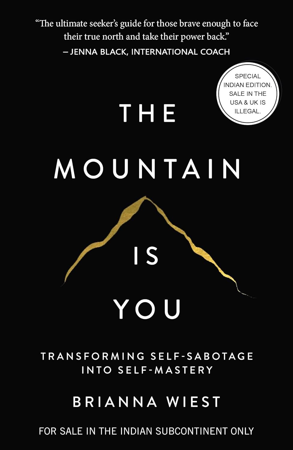 The Mountain Is You: Transforming Self-Sabotage Into Self-Mastery (Paperback)