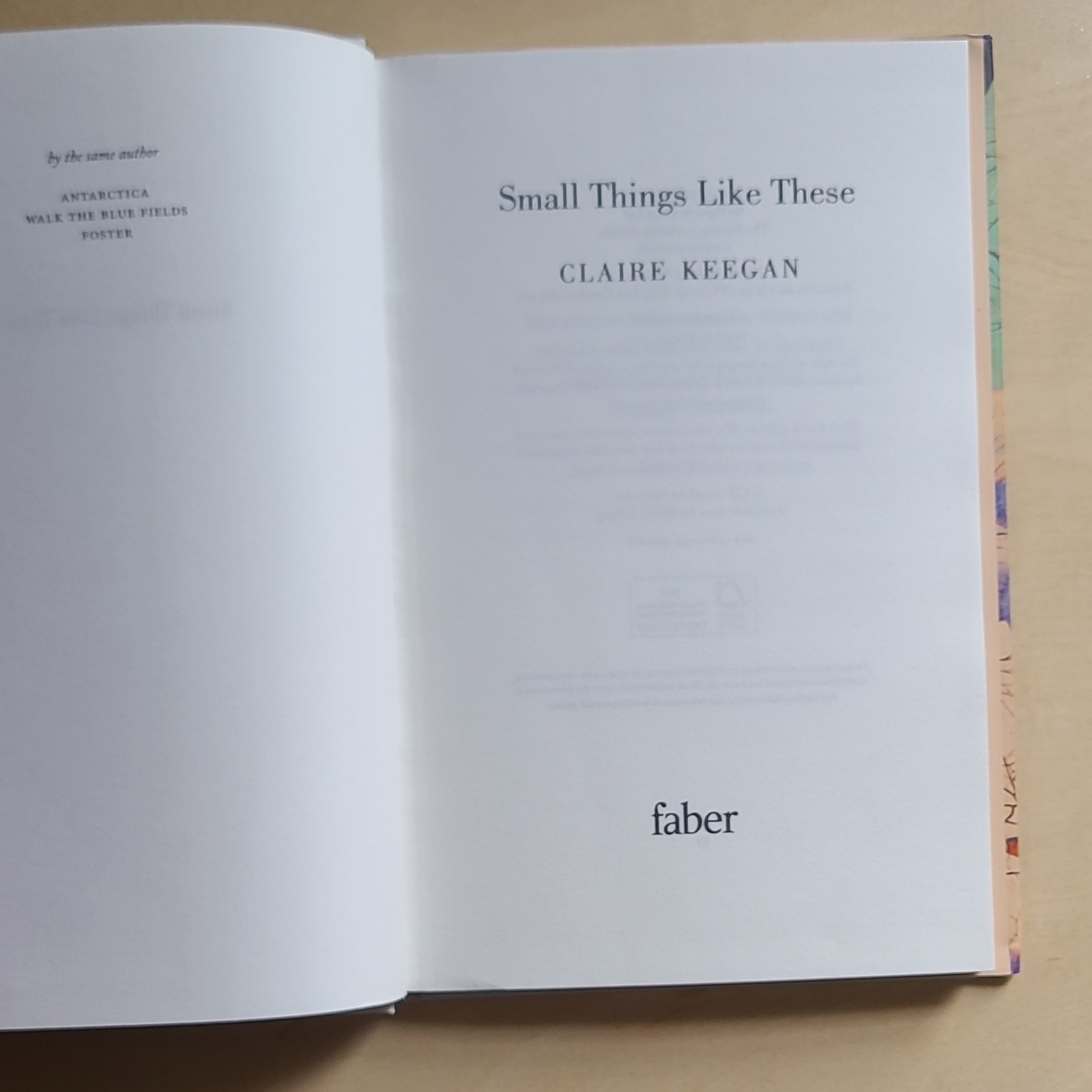 Irish Literature Bundle: Small Things Like These & Amongst Women