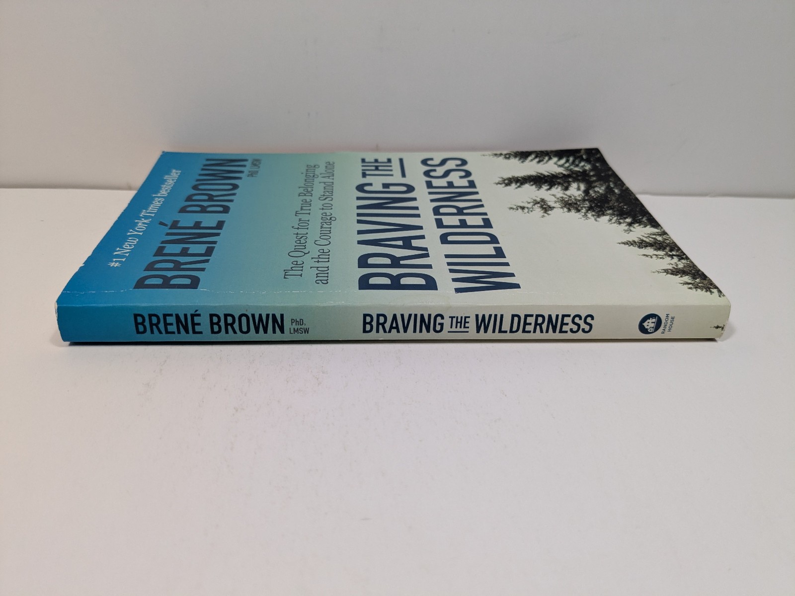 Braving the Wilderness by Brene Brown Paperback Book Psychology Self Help Memoir