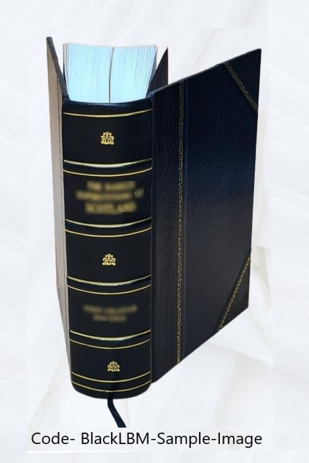 The Conan Stories By Robert E. Howard [Leather Bound]