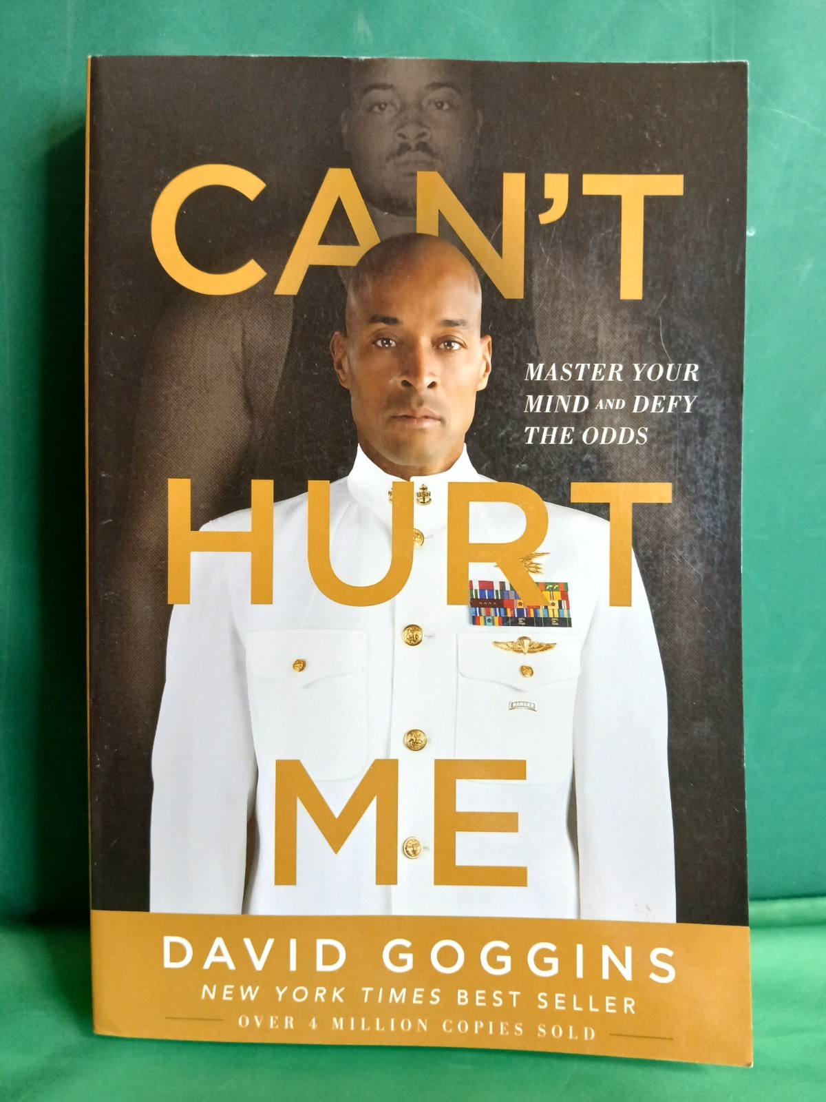 CAN’T HURT ME Master Your Mind And Defy The Odds David Goggins Paperback Book