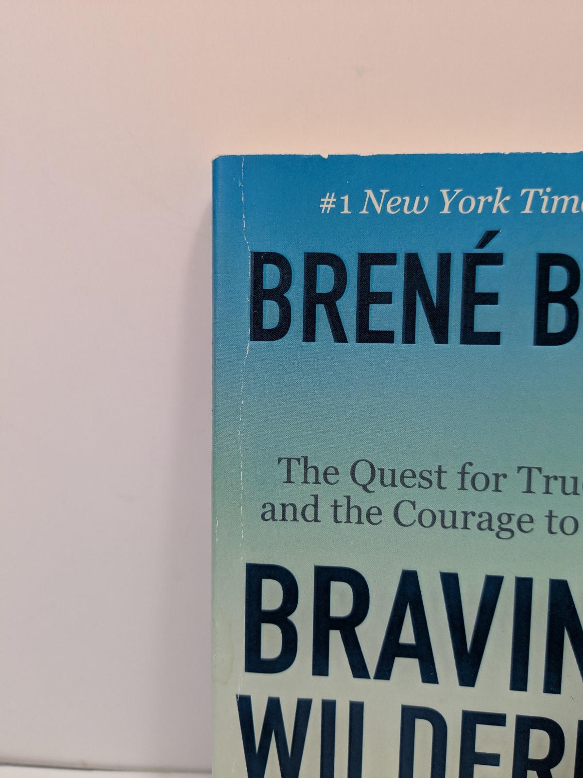 Braving the Wilderness by Brene Brown Paperback Book Psychology Self Help Memoir