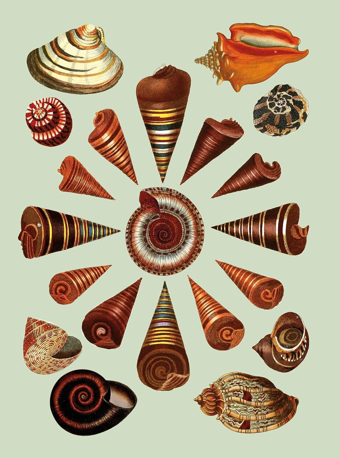 The Antiquarian Sticker Book: Over 1,000 Exquisite Victorian Stickers