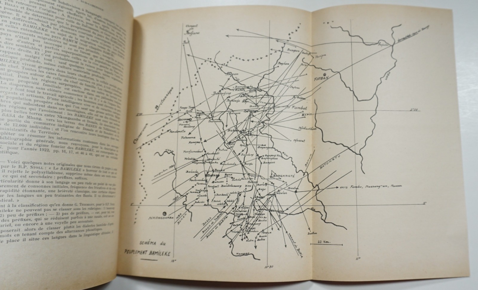 Inventaire Ethnique du Sud-Cameroun 1949 Dugast Demographics Population Cameroon