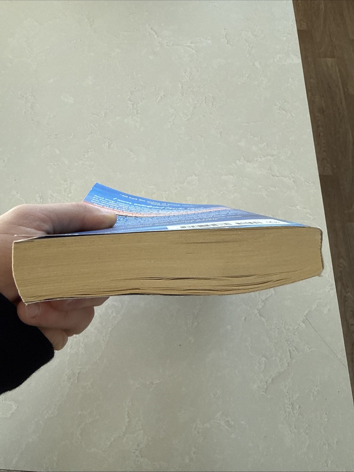 One Golden Summer – paperback Fortune, Carley