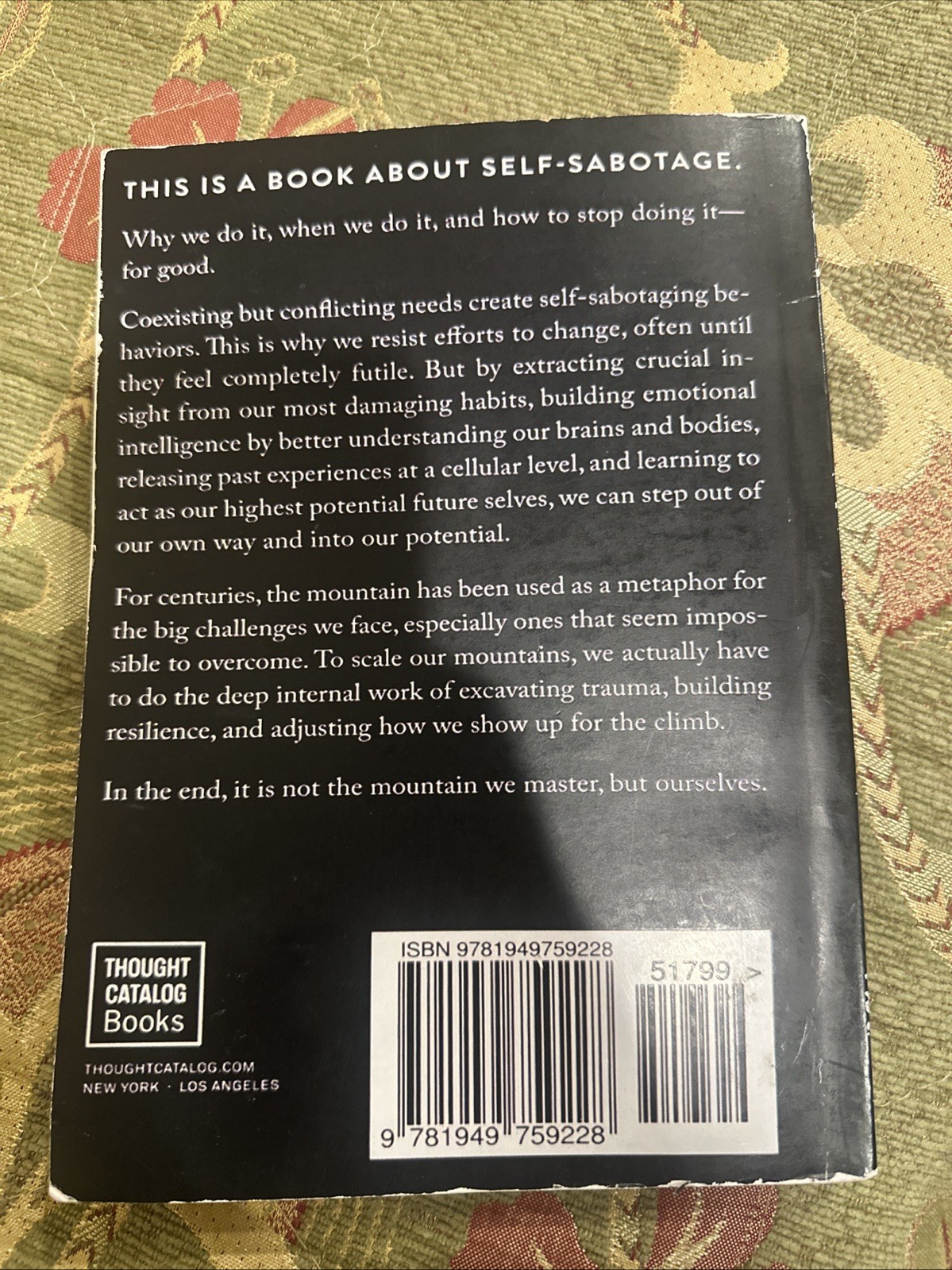The Mountain is You By Brianna Wiest USA Stock Premium Quality