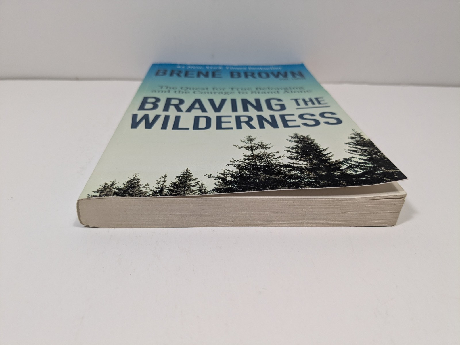 Braving the Wilderness by Brene Brown Paperback Book Psychology Self Help Memoir
