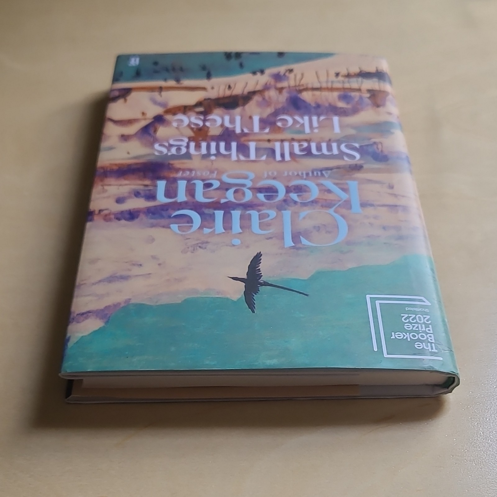 Irish Literature Bundle: Small Things Like These & Amongst Women