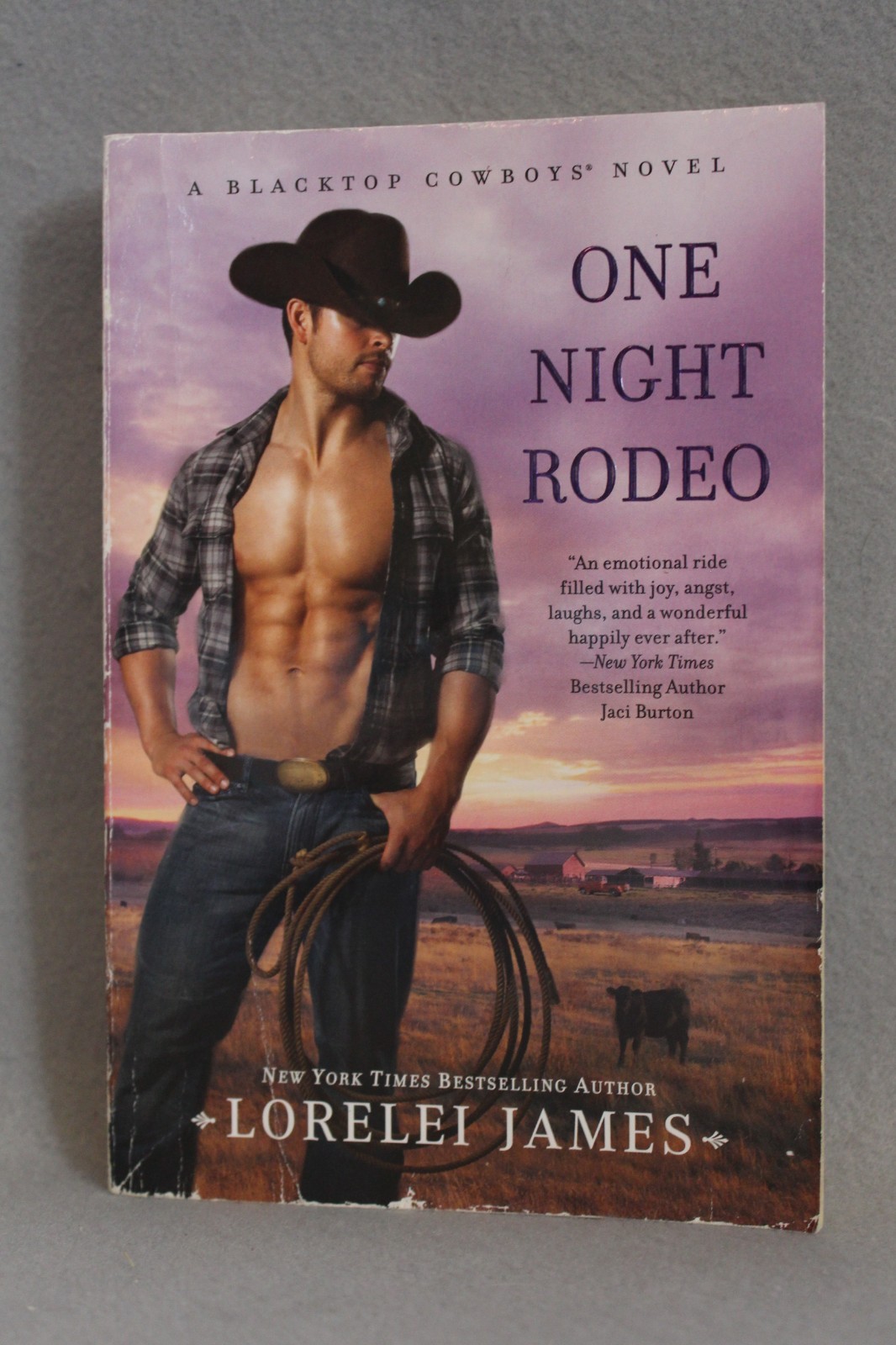 Blacktop Cowboys Series 14 Titles in 12 PBs Lorelei James PB Novellas USED Good