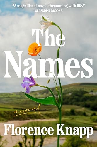 The Names A Novel – GOOD