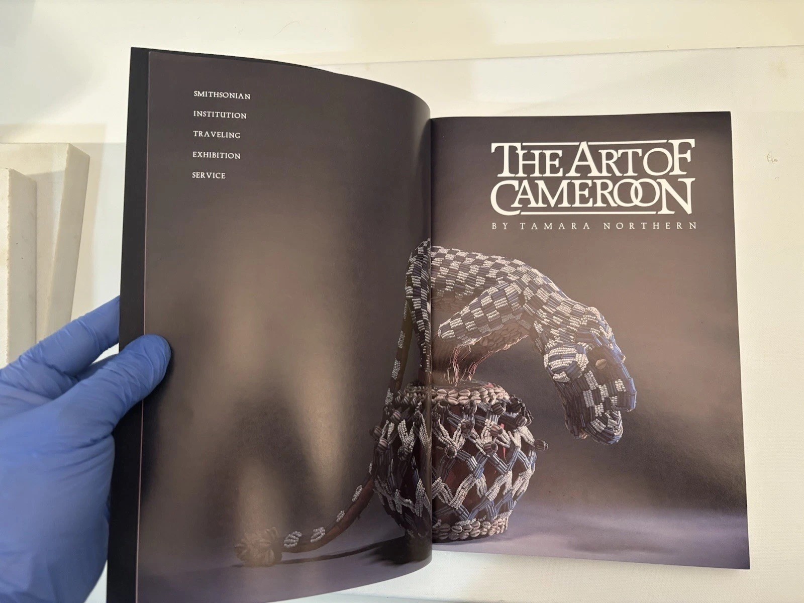 The Art of Cameroon | Tamara Northern | Smithsonian African Art PB