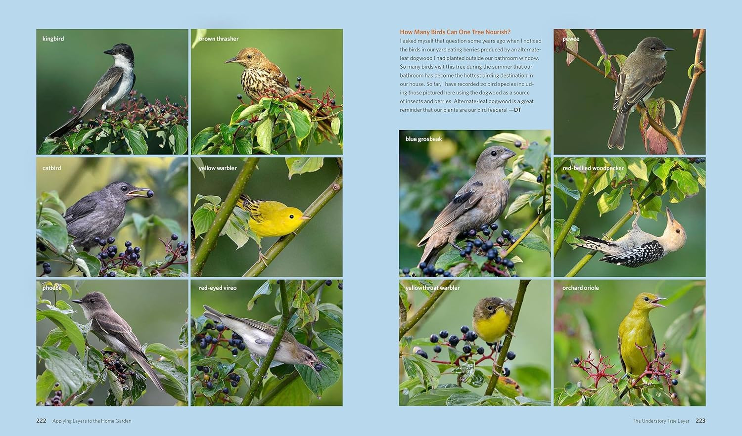 The Living Landscape: Designing for Beauty and Biodiversity in the Home Garden