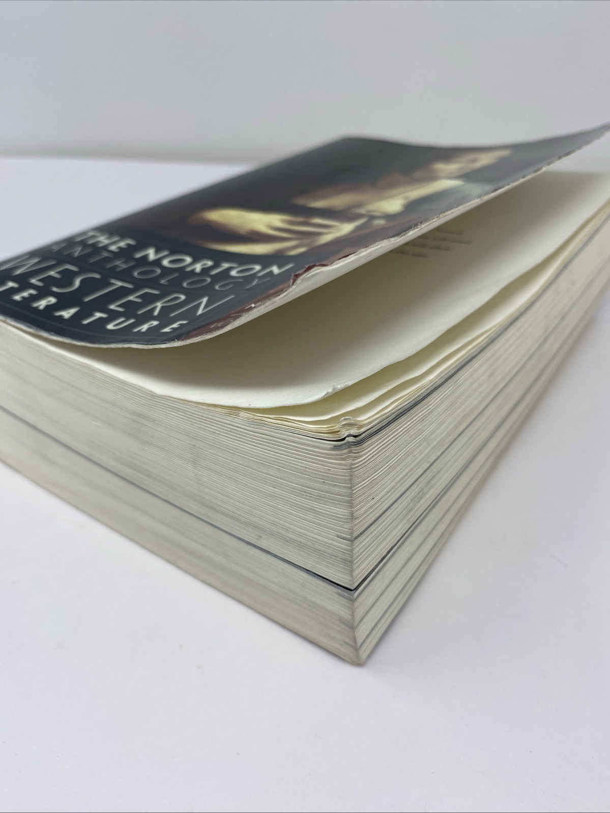 Norton Anthology of Western Literature 9th Edition, Vol. 1 – PB – FREE SHIPPING!
