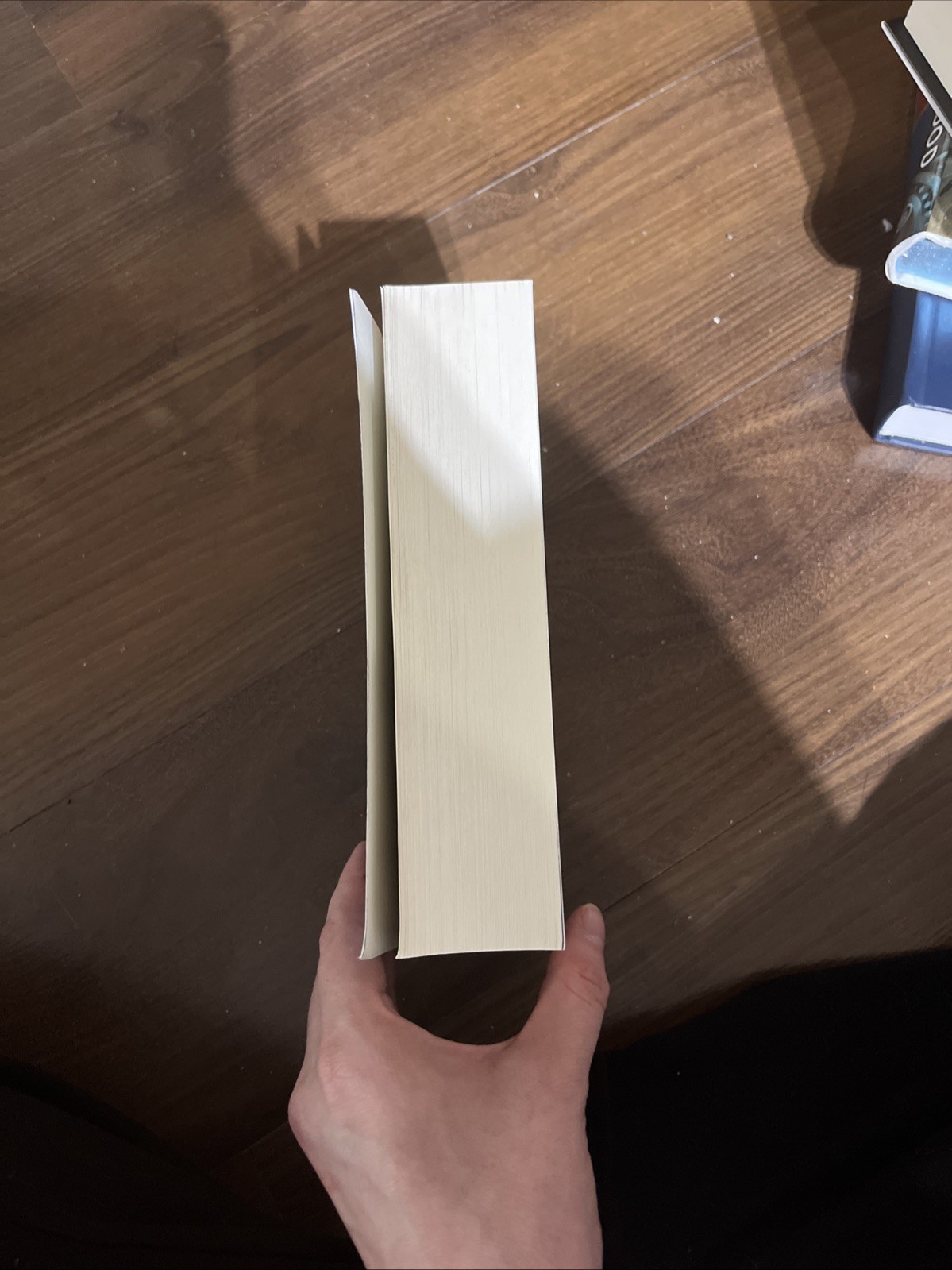 When the Moon Hatched, Parker, Sarah A. Self Published Version