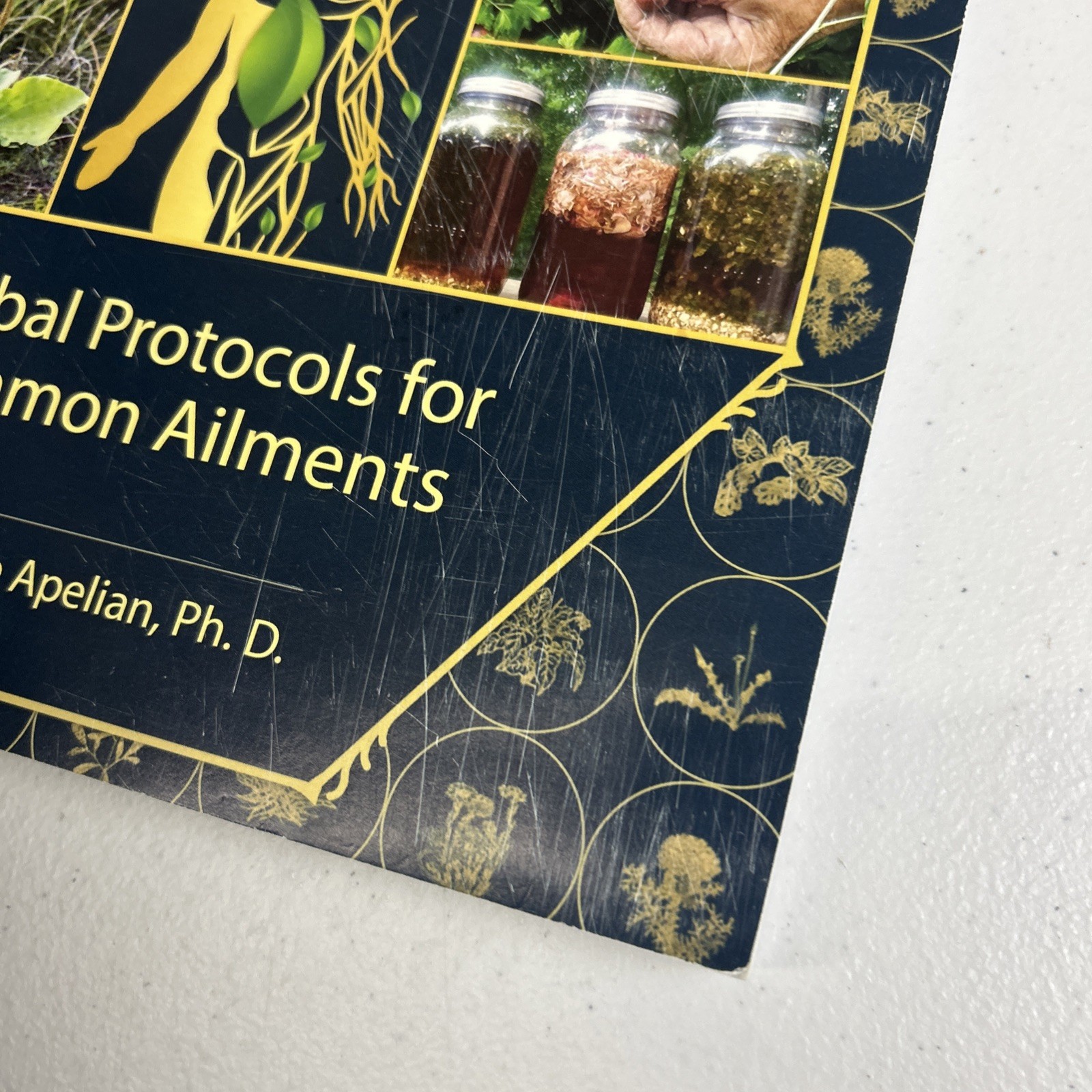 The Holistic Guide to Wellness: Herbal Protocols for Common Ailments. N. Apelian