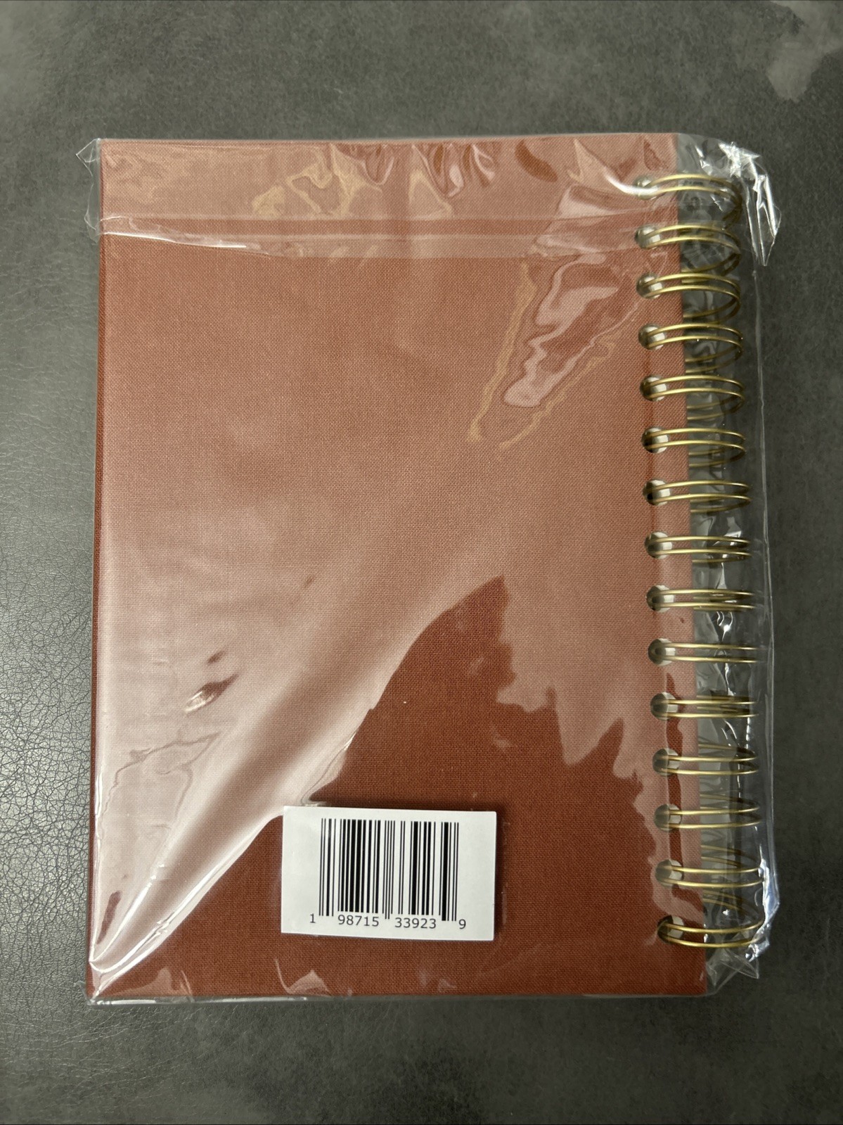 Steadfast and Sustained Church Notes Journal Tan Hardcover