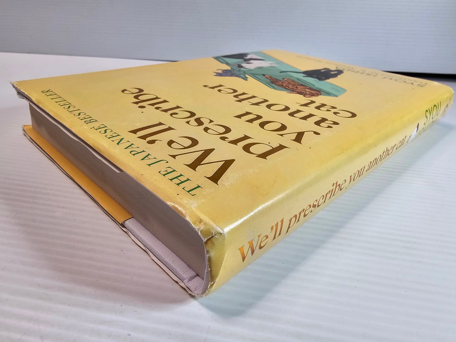 We’ll Prescribe You Another Cat by Syou Ishida – Hardcover