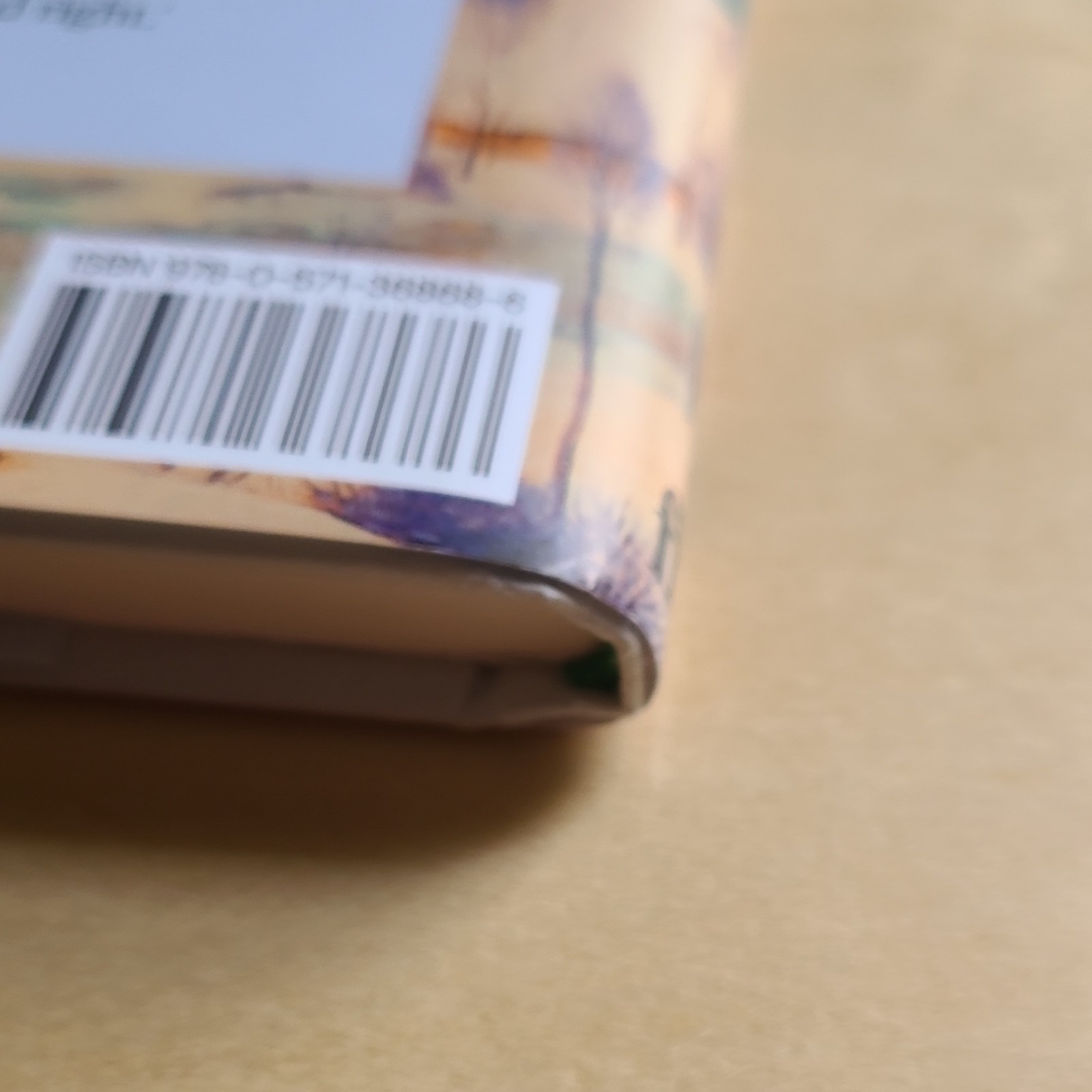 Irish Literature Bundle: Small Things Like These & Amongst Women