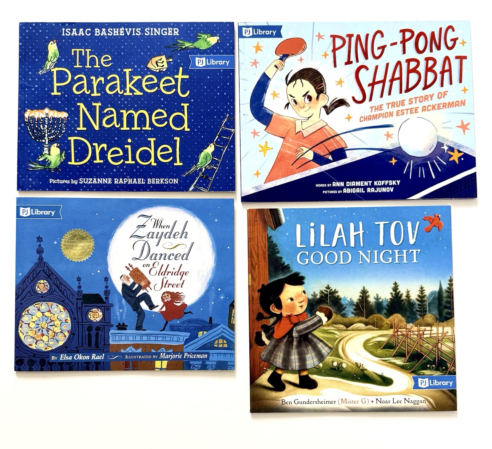 PJ Library – Lot of 16 Children’s Books – Jewish Religious Passover Seder PB