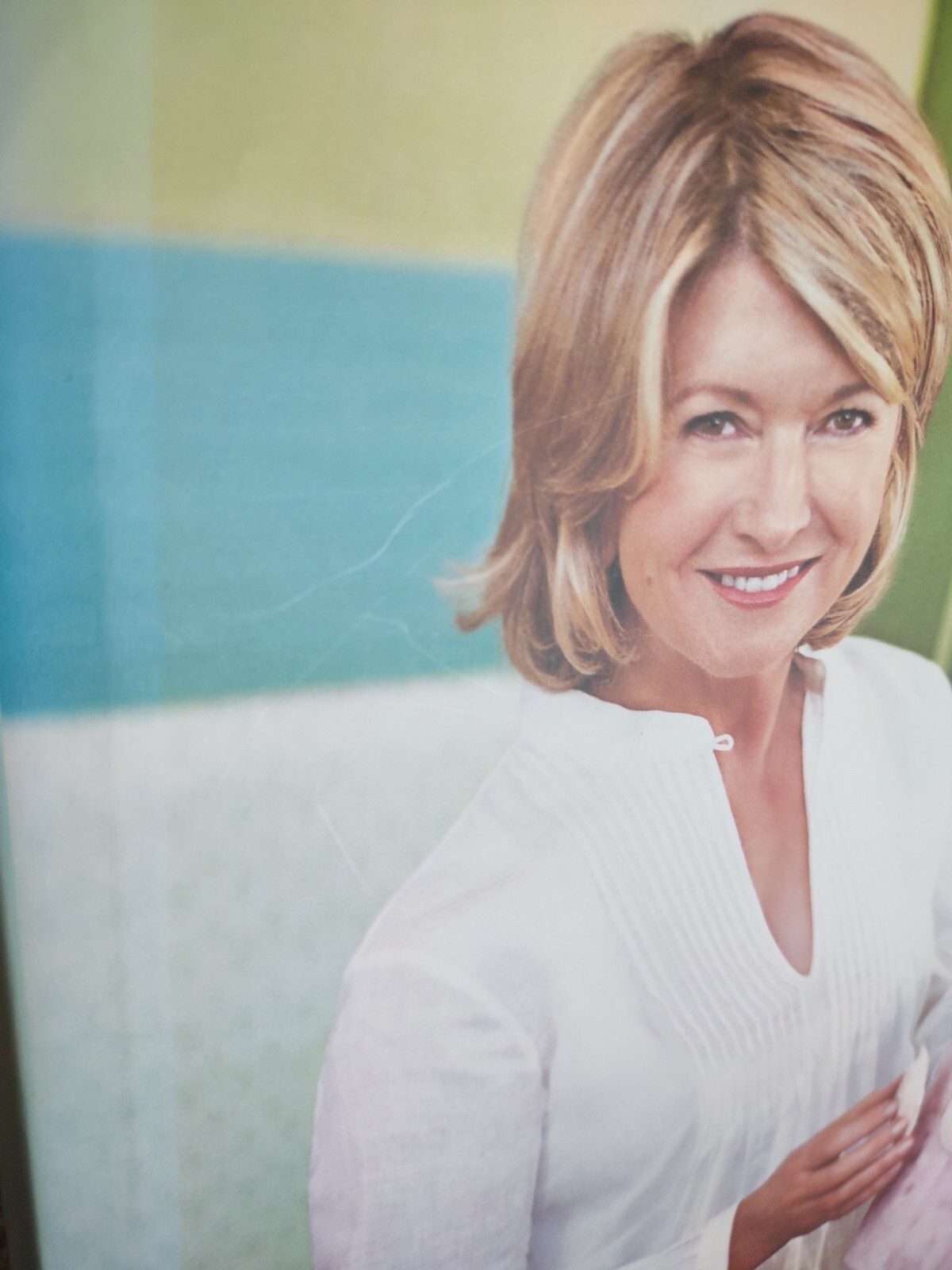 2009 First Edition Hardcover Book: Martha Stewart’s Encyclopedia Of Crafts