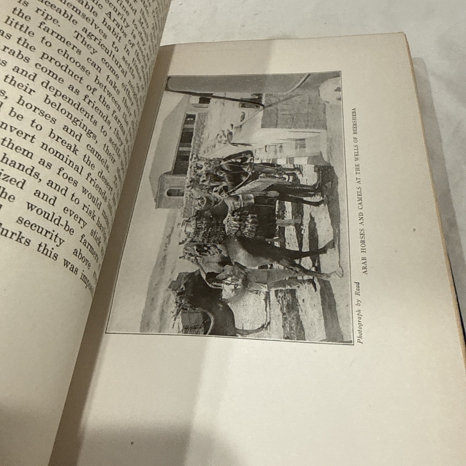 The New Palestine W.D McCrackan 1922 Antique Hardback First Edition