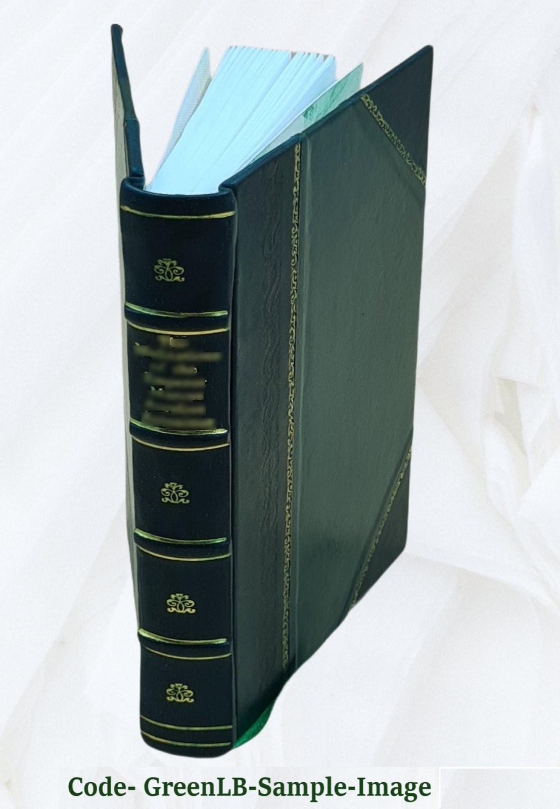 La Conqu?Te Du Cameroun 1Er Ao?T 1914 – 20 Fevrier 1916 1933 [Leather Bound]