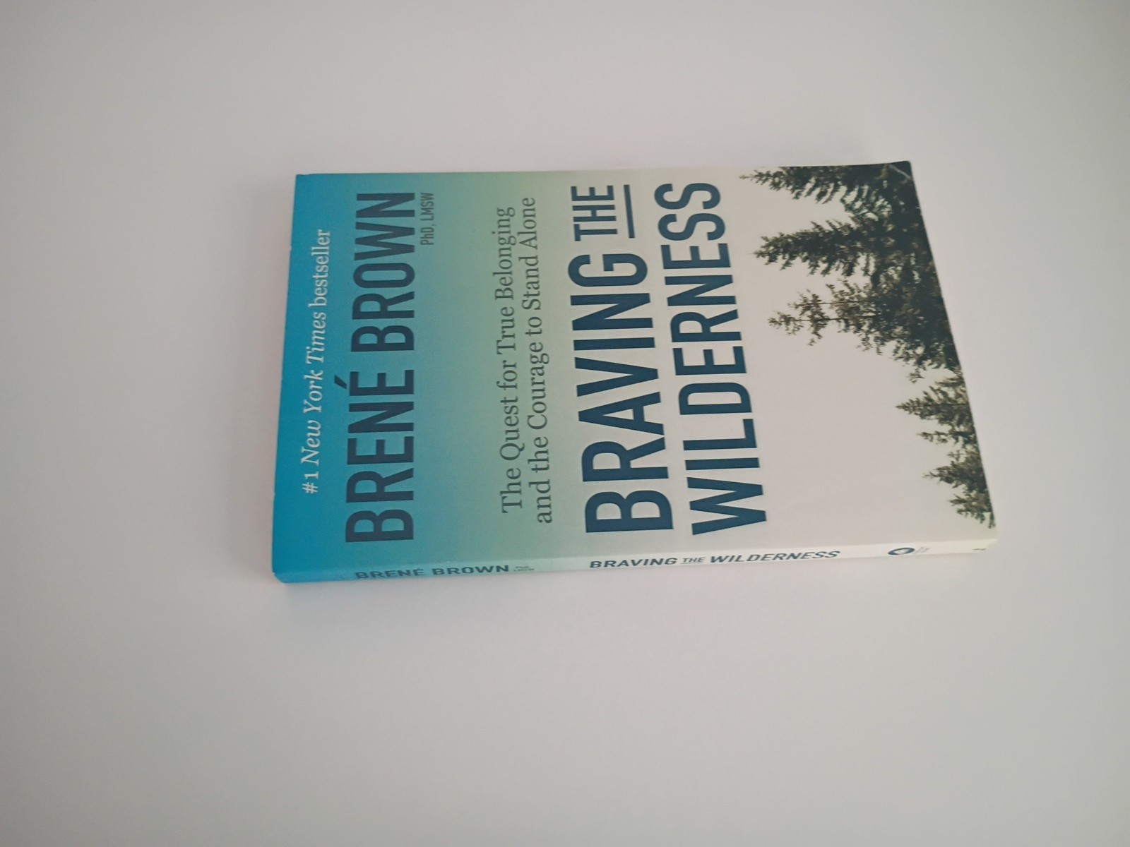 New Braving The Wilderness Brene Brown NY Times Bestseller Soft Cover