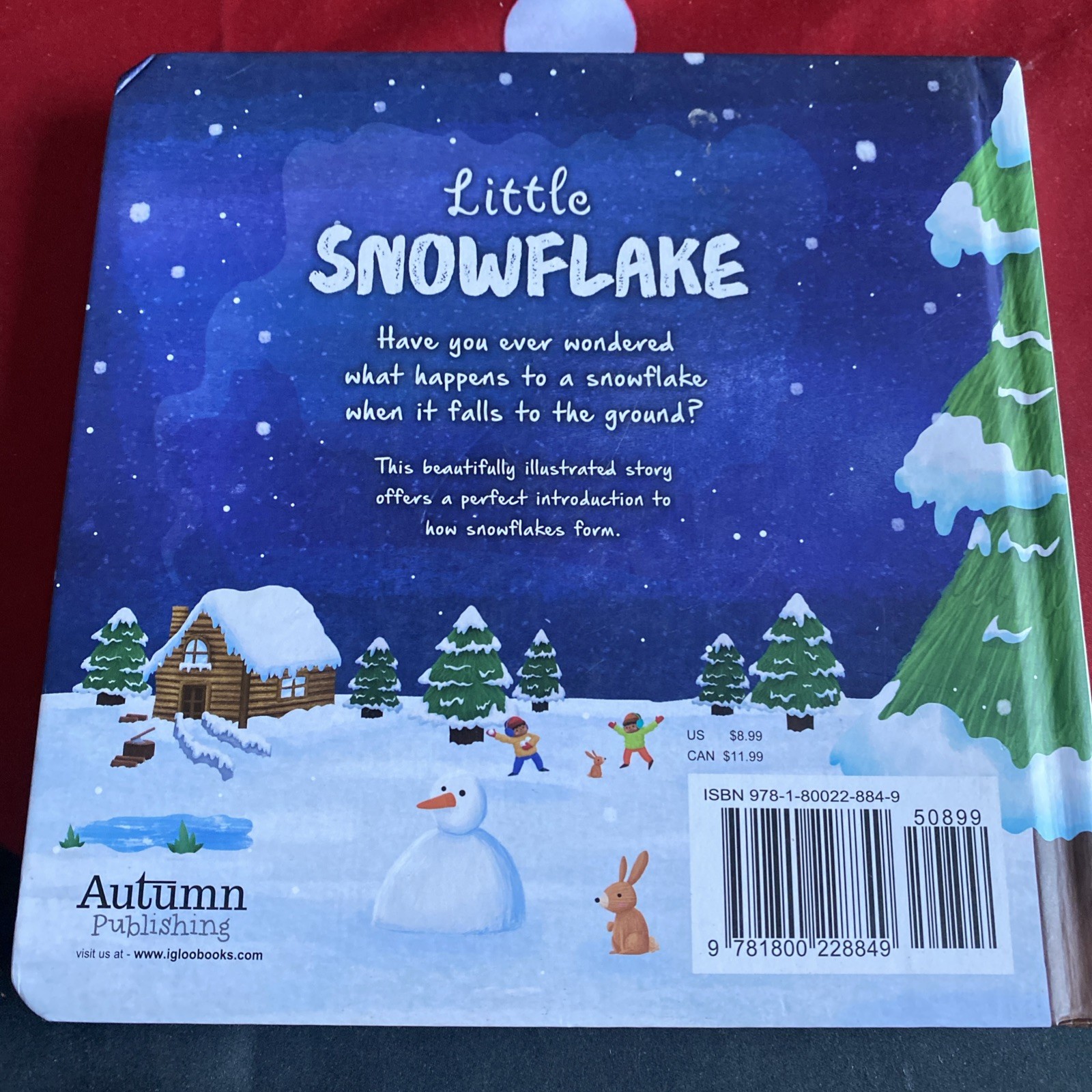 *KIDS*🎅🏼 Little Snowflake ❄️ by S. Fossey (2019, Pad Book) CHRISTMAS $12.25