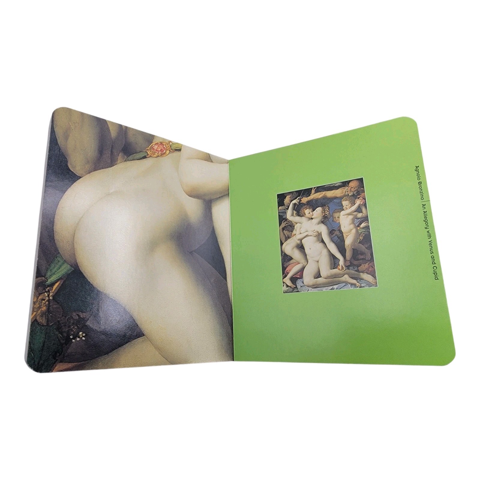 Wholesale Lot of 7 The Body in Art Bottoms Book Bum Butt Buttox Book