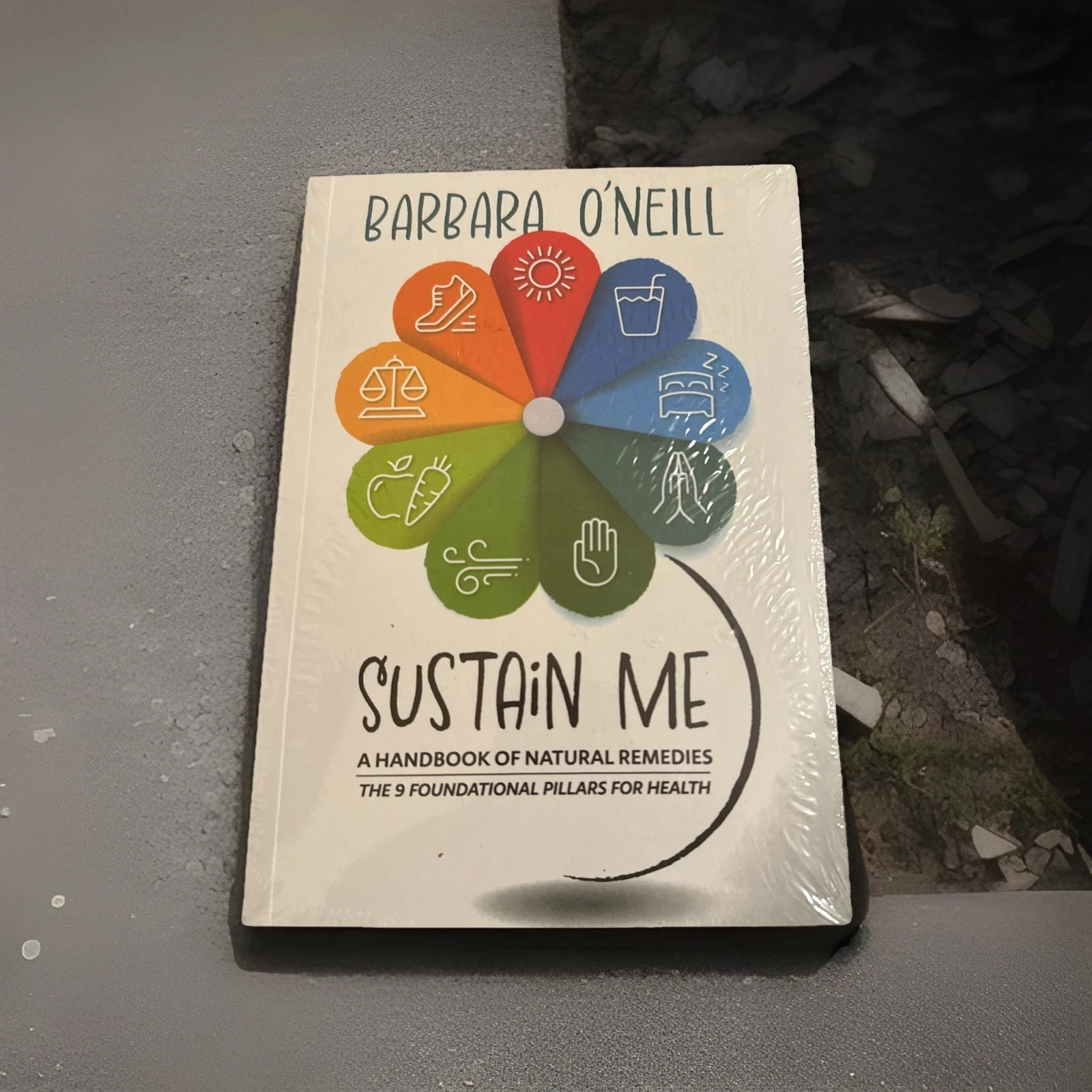 Sustain Me Barbara O’Neill A Handbook of Natural Remedies
