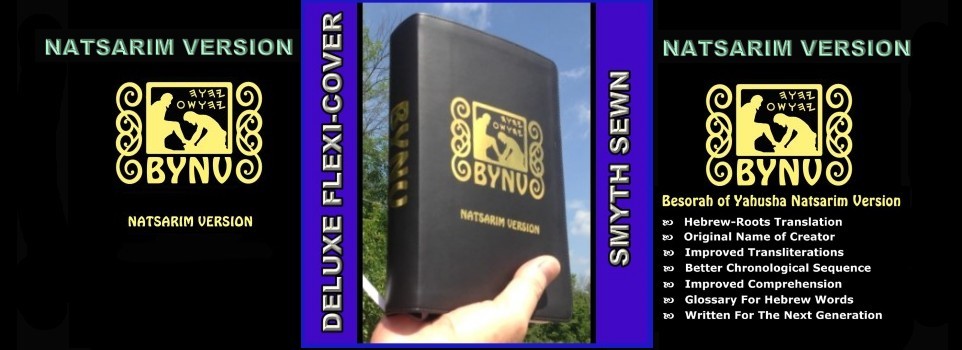 BYNV Deluxe Cover