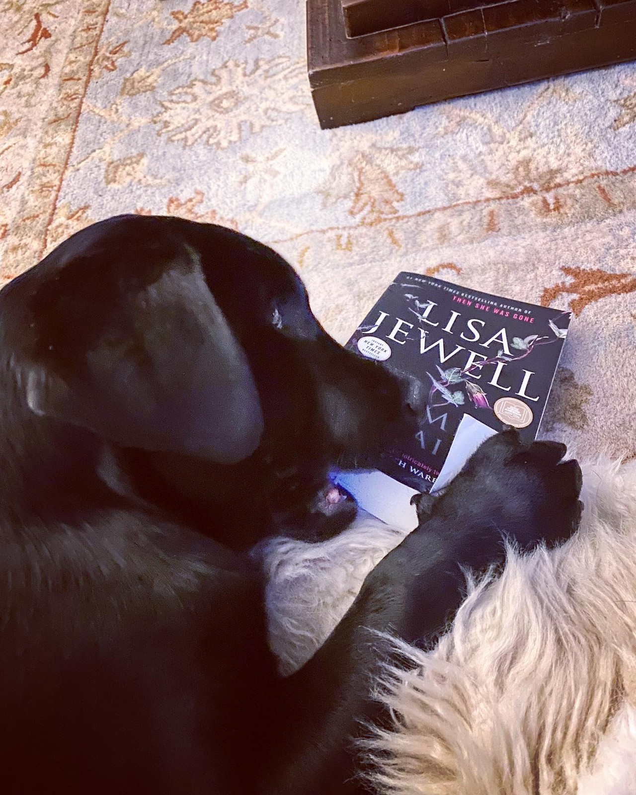 The Family Upstairs – by Lisa Jewell