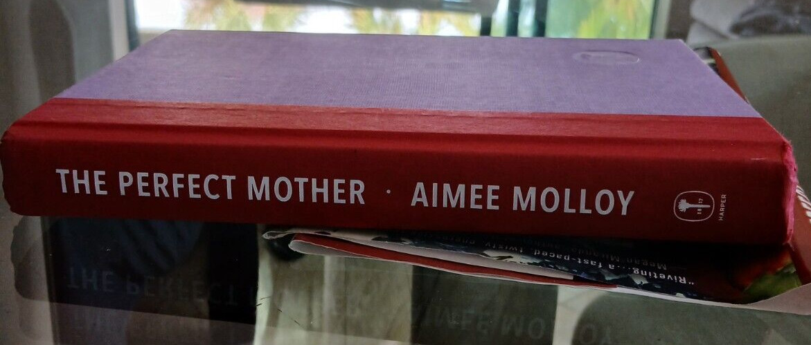 The Perfect Mother By Aimee Molloy Hardcover 317 Pages