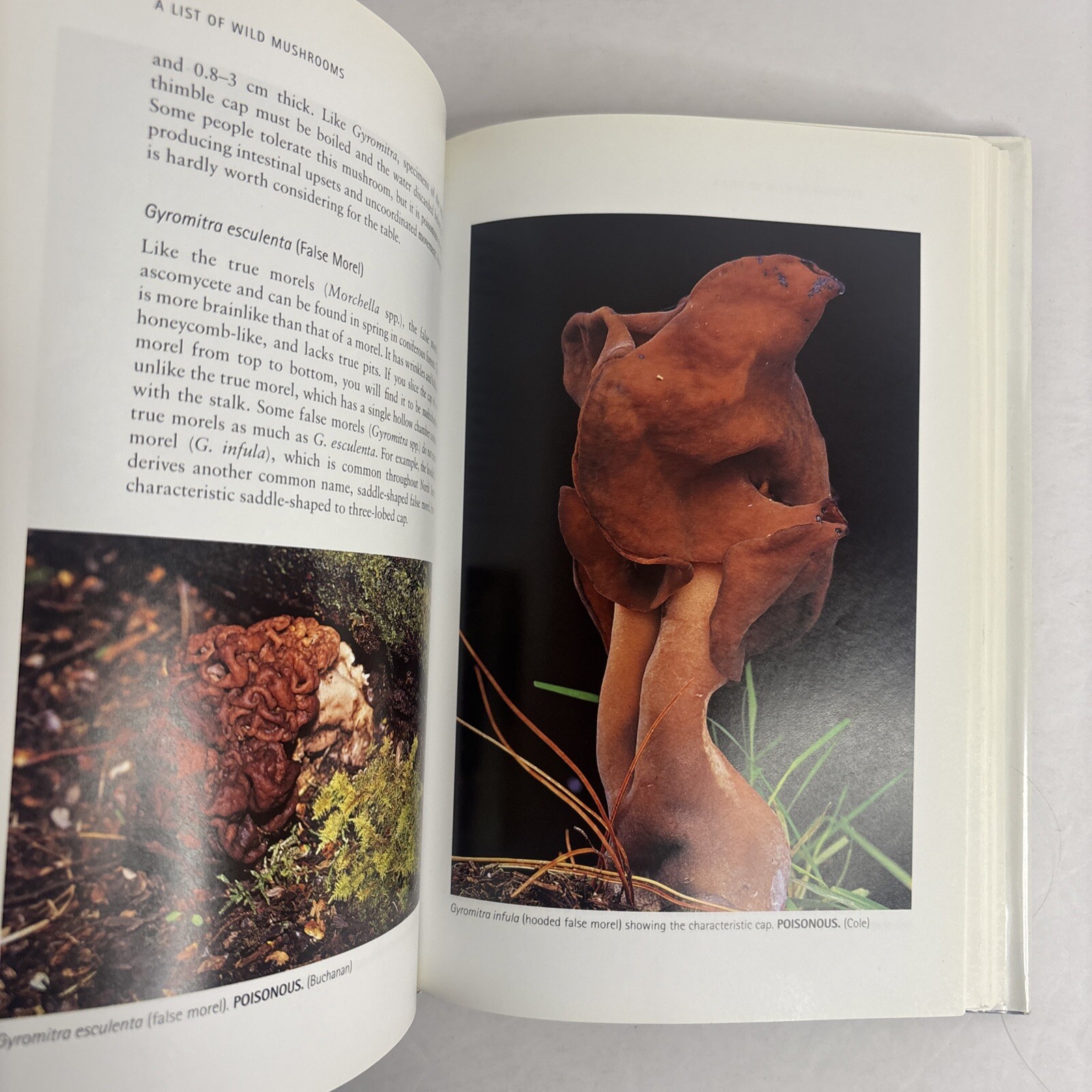 Edible and Poisonous Mushrooms of the World by Hall, Stepheson, Buchanan, Yun
