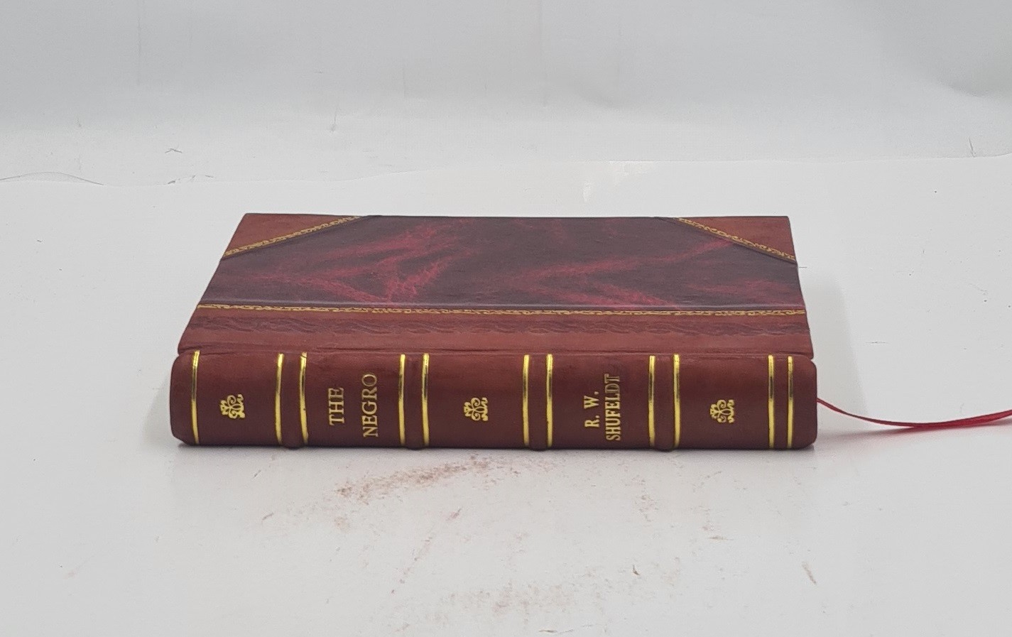 The Negro a menace to American civilization 1907 R. W. Shufeldt [LEATHER BOUND]